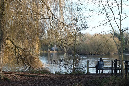 Little Britain Lake