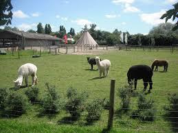 Horton Country Park