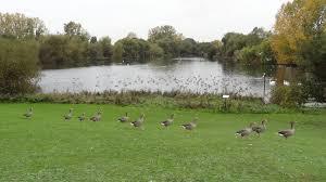 Mayesbrook Park