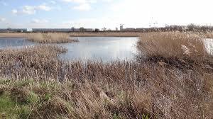 Crossness Nature Reserve