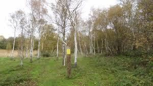 The Ripple Nature Reserve