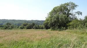 Riddlesdown