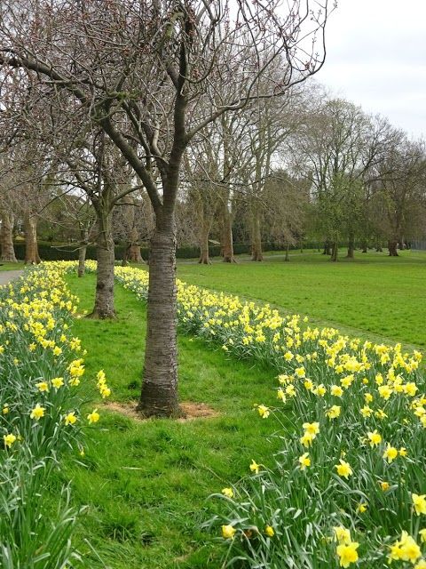 Park Hill Park
