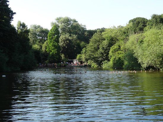 Highgate Men's Bathing Pond