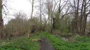 Ravensbury Park